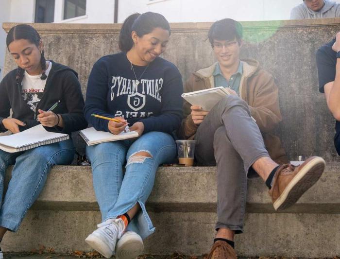 Students studying outside